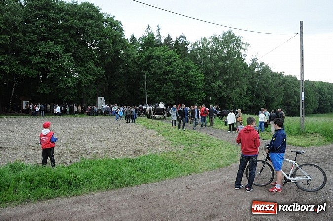 Zdjęcie w galerii na portalu naszraciborz.pl: Brzeska procesja ze świętym Urbanem. Dziękowali za łaski i prosili o urodzaj wiadomości z regionu
