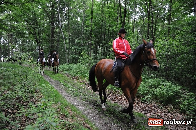 Zdjęcie w galerii na portalu naszraciborz.pl: Brzeska procesja ze świętym Urbanem. Dziękowali za łaski i prosili o urodzaj wiadomości z regionu