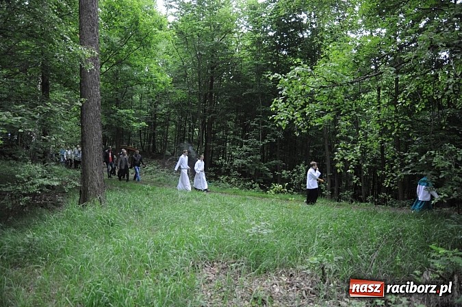 Zdjęcie w galerii na portalu naszraciborz.pl: Brzeska procesja ze świętym Urbanem. Dziękowali za łaski i prosili o urodzaj wiadomości z regionu