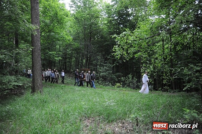 Zdjęcie w galerii na portalu naszraciborz.pl: Brzeska procesja ze świętym Urbanem. Dziękowali za łaski i prosili o urodzaj wiadomości z regionu