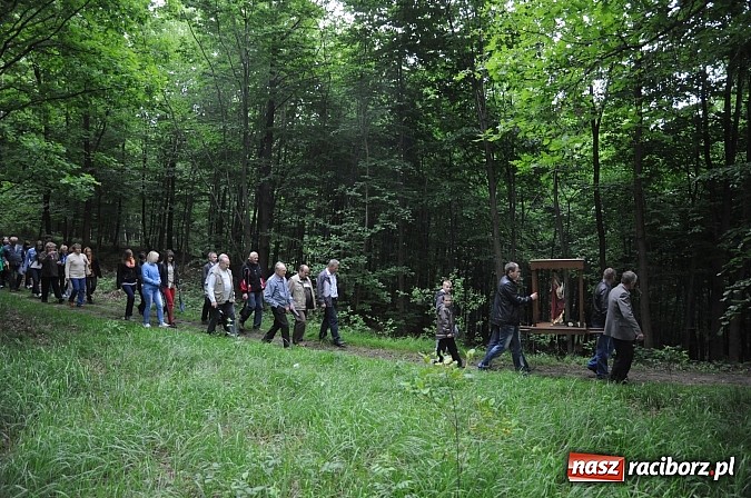 Zdjęcie w galerii na portalu naszraciborz.pl: Brzeska procesja ze świętym Urbanem. Dziękowali za łaski i prosili o urodzaj wiadomości z regionu