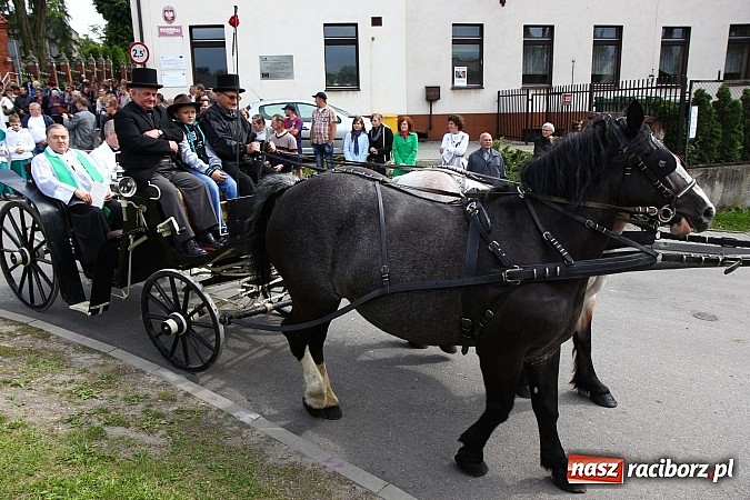 Zdjęcie w galerii na portalu naszraciborz.pl: Brzeska procesja ze świętym Urbanem. Dziękowali za łaski i prosili o urodzaj wiadomości z regionu