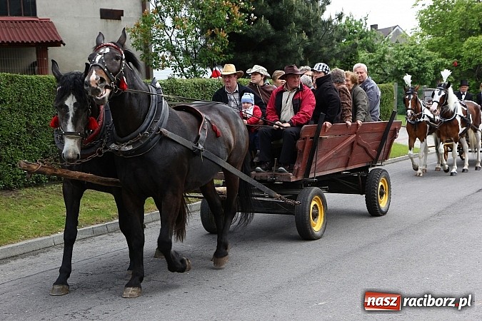 Zdjęcie w galerii na portalu naszraciborz.pl: Brzeska procesja ze świętym Urbanem. Dziękowali za łaski i prosili o urodzaj wiadomości z regionu