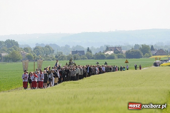Zdjęcie w galerii na portalu naszraciborz.pl: Złoty Kłos wrócił do Tworkowa. Malowidło pokazano przed sumą na Urbanku wiadomości z regionu