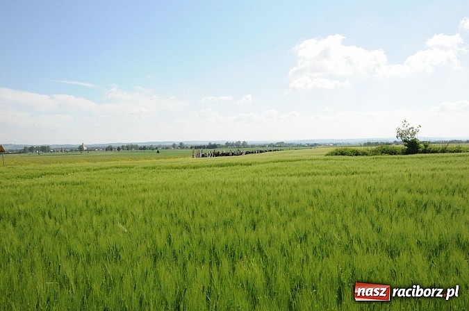 Zdjęcie w galerii na portalu naszraciborz.pl: Złoty Kłos wrócił do Tworkowa. Malowidło pokazano przed sumą na Urbanku wiadomości z regionu