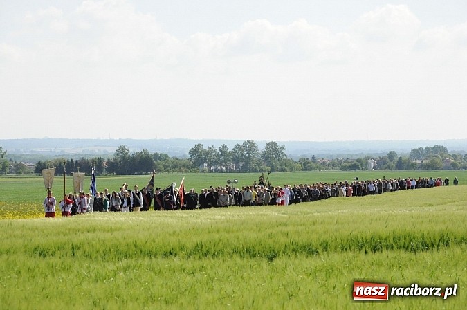 Zdjęcie w galerii na portalu naszraciborz.pl: Złoty Kłos wrócił do Tworkowa. Malowidło pokazano przed sumą na Urbanku wiadomości z regionu