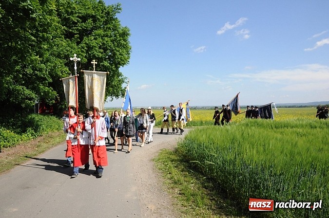 Zdjęcie w galerii na portalu naszraciborz.pl: Złoty Kłos wrócił do Tworkowa. Malowidło pokazano przed sumą na Urbanku wiadomości z regionu