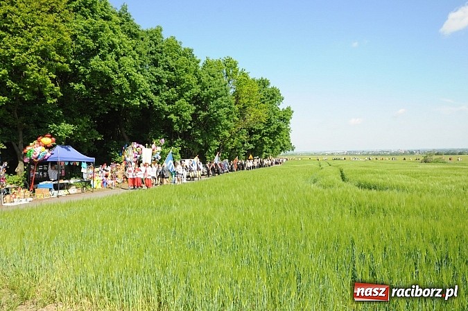 Zdjęcie w galerii na portalu naszraciborz.pl: Złoty Kłos wrócił do Tworkowa. Malowidło pokazano przed sumą na Urbanku wiadomości z regionu
