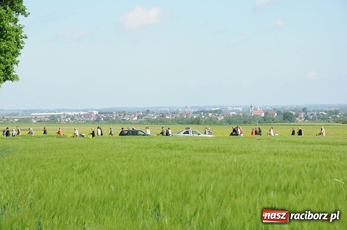 Zdjęcie w galerii na portalu naszraciborz.pl: Złoty Kłos wrócił do Tworkowa. Malowidło pokazano przed sumą na Urbanku wiadomości z regionu