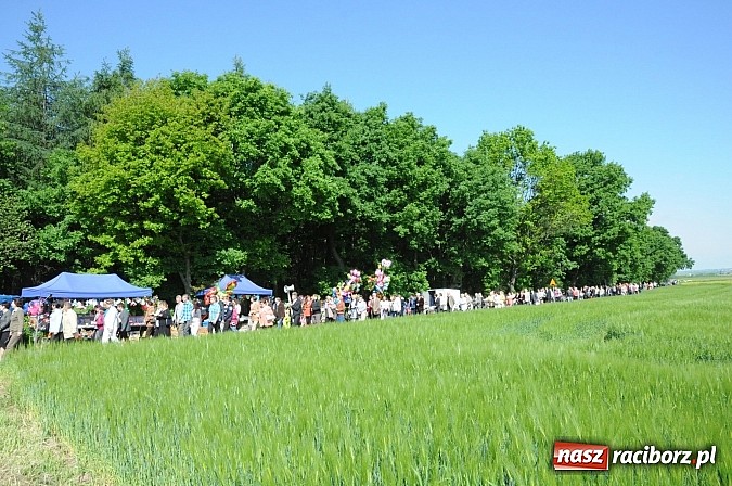 Zdjęcie w galerii na portalu naszraciborz.pl: Złoty Kłos wrócił do Tworkowa. Malowidło pokazano przed sumą na Urbanku wiadomości z regionu