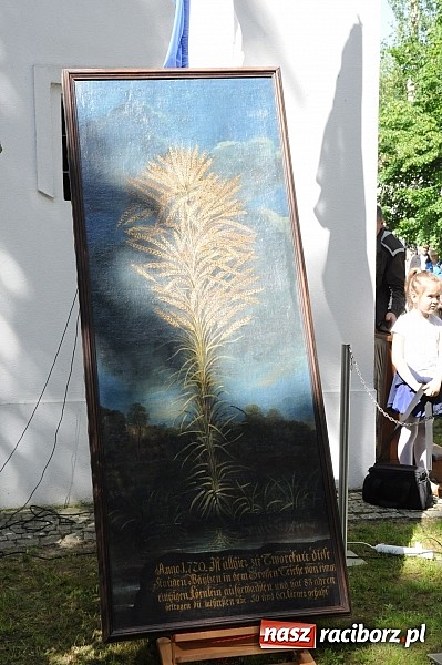 Zdjęcie w galerii na portalu naszraciborz.pl: Złoty Kłos wrócił do Tworkowa. Malowidło pokazano przed sumą na Urbanku wiadomości z regionu