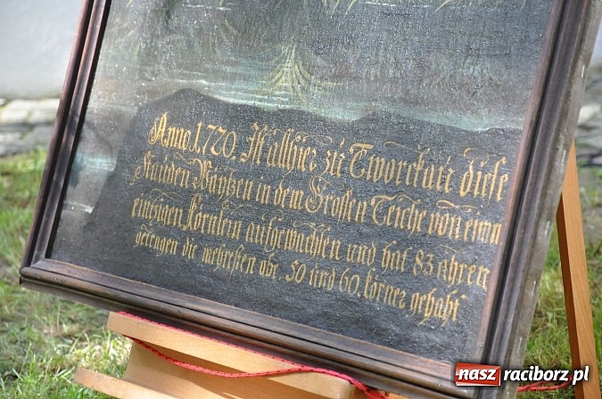 Zdjęcie w galerii na portalu naszraciborz.pl: Złoty Kłos wrócił do Tworkowa. Malowidło pokazano przed sumą na Urbanku wiadomości z regionu