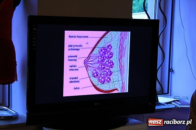 Zdjęcie w galerii na portalu naszraciborz.pl: Jak odpowiednio dobrać biustonosz? wiadomości z regionu