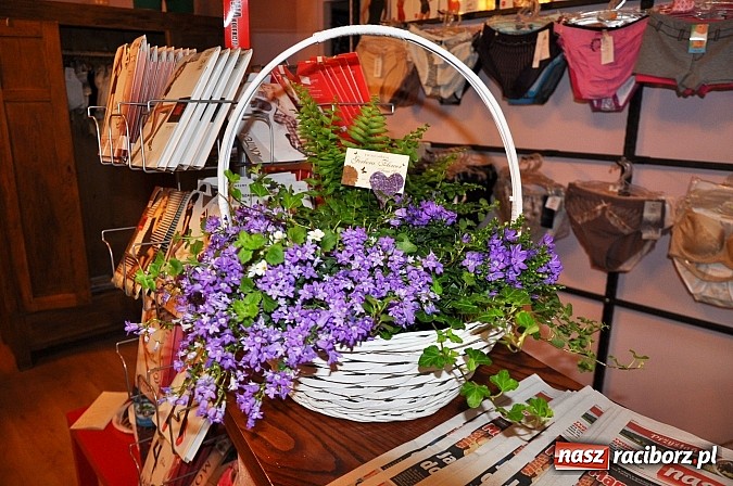 Zdjęcie w galerii na portalu naszraciborz.pl: Jak odpowiednio dobrać biustonosz? wiadomości z regionu