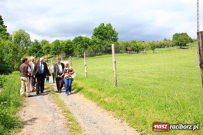 Zdjęcie w galerii na portalu naszraciborz.pl: Groźne osuwiska na terenie naszego powiatu wiadomości z regionu