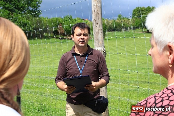 Zdjęcie w galerii na portalu naszraciborz.pl: Groźne osuwiska na terenie naszego powiatu wiadomości z regionu