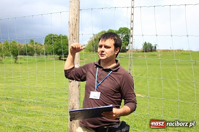 Zdjęcie w galerii na portalu naszraciborz.pl: Groźne osuwiska na terenie naszego powiatu wiadomości z regionu