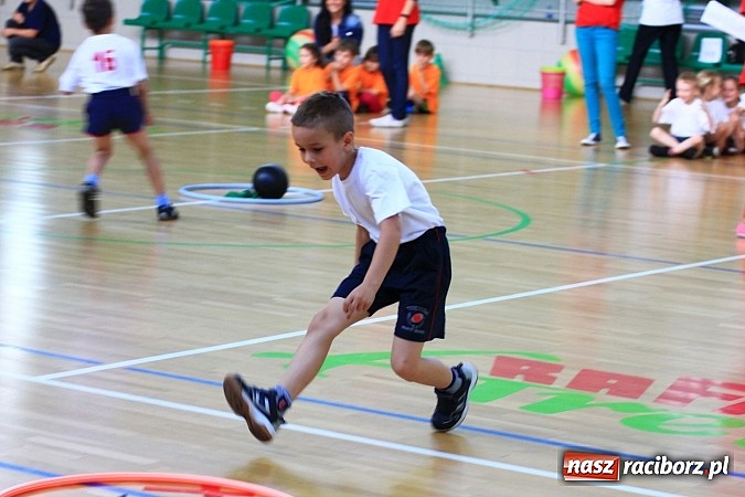 Zdjęcie w galerii na portalu naszraciborz.pl: XI edycja Spartakiady Przedszkolaków wiadomości z regionu