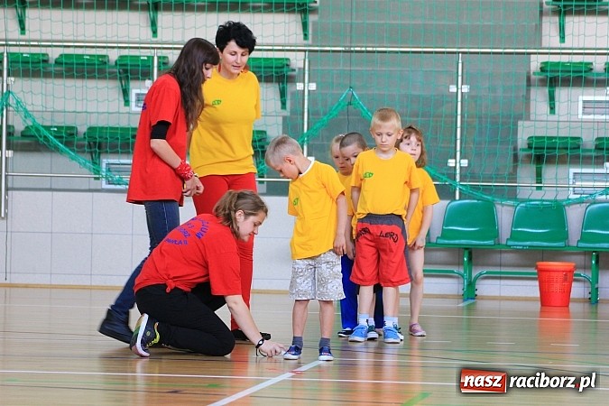 Zdjęcie w galerii na portalu naszraciborz.pl: XI edycja Spartakiady Przedszkolaków wiadomości z regionu