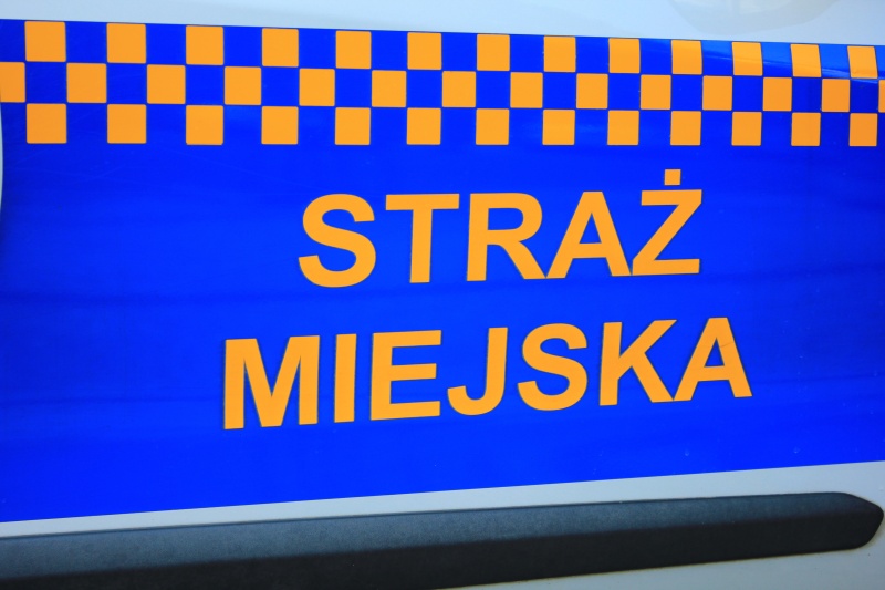 Nietrzeźwi na ulicach i zagrożenie na rondzie. Straż Miejska interweniowała