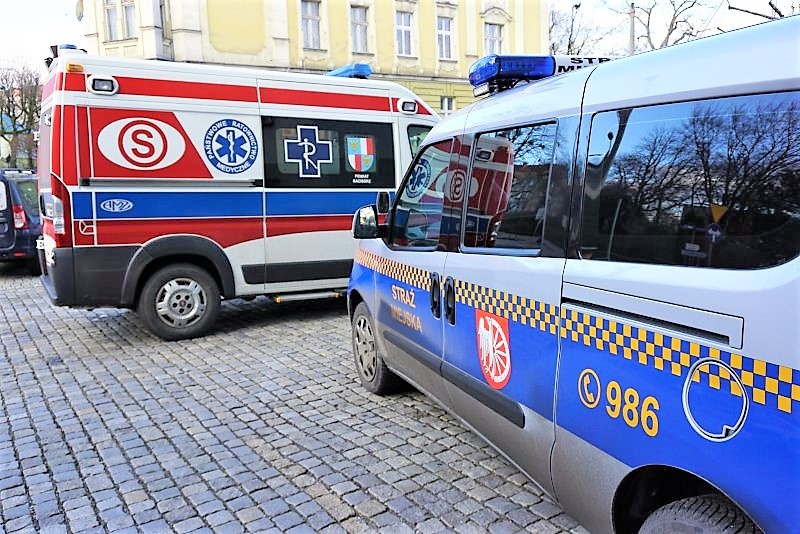 Strażnicy w akcji – nietrzeźwi, agresywni i zaniedbane zwierzęta pod ich kontrolą
