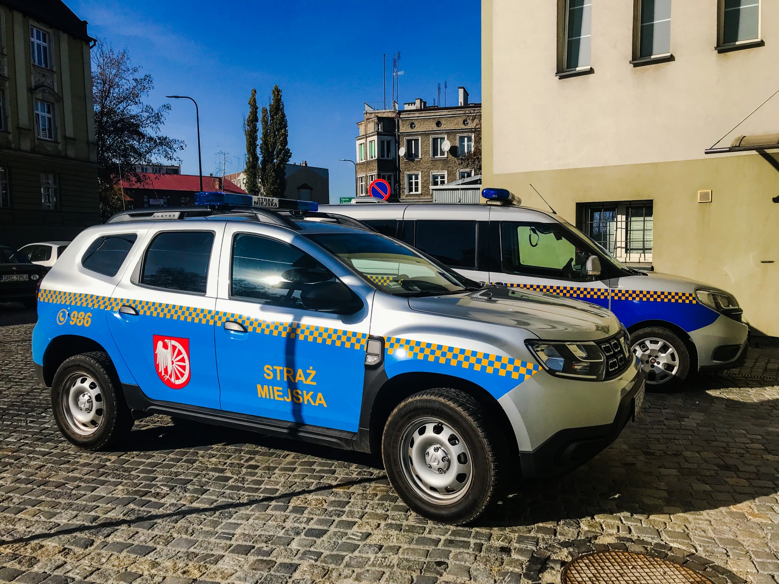 Z notatnika strażnika miejskiego: sarna w centrum i nietrzeźwy na Kossaka
