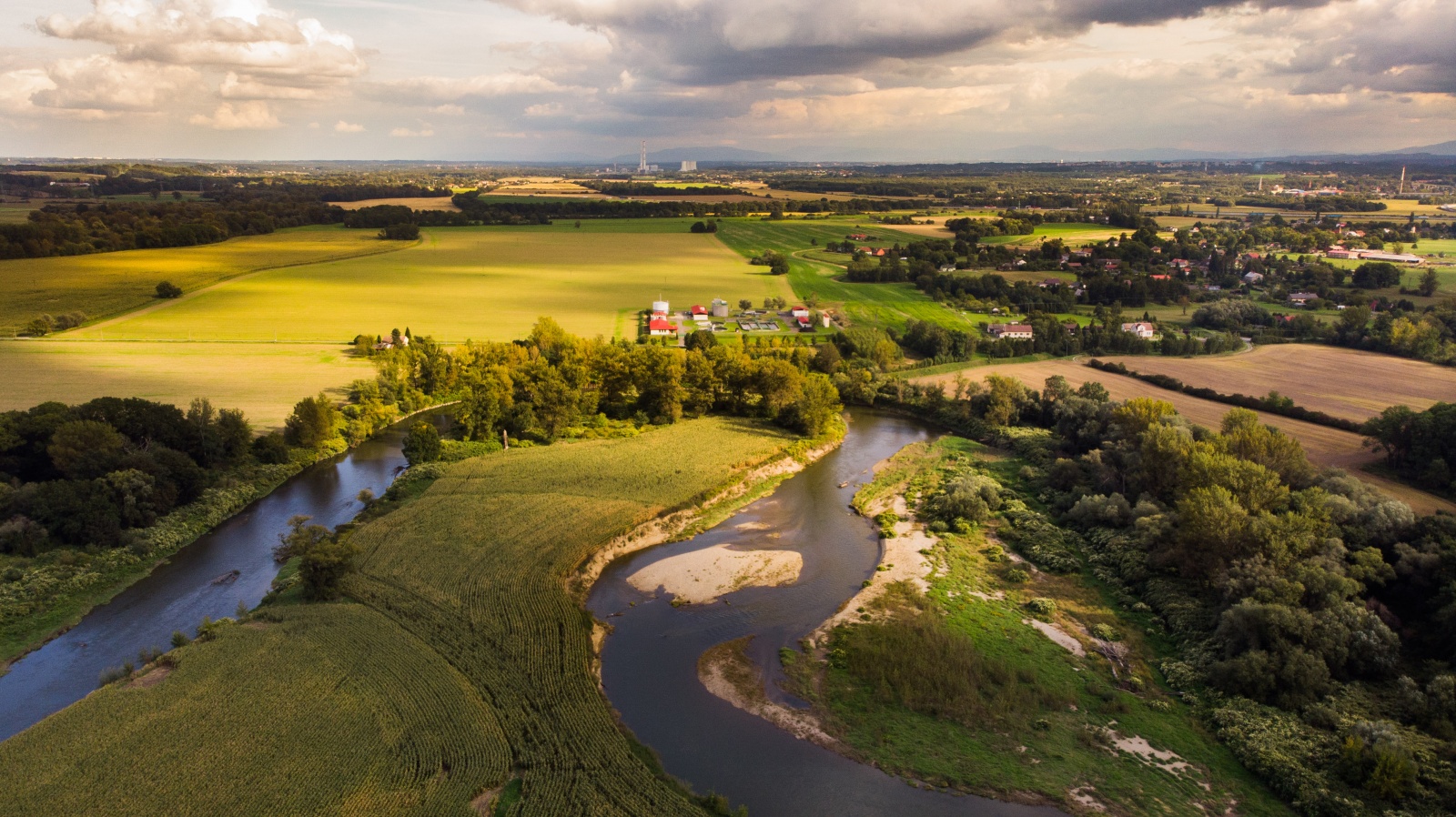 Wakacyjny Spływ Kajakowy z Przyrodnikiem po Meandrach Odry. Letnia przygoda z naturą, ornitologią i kajakiem w tle