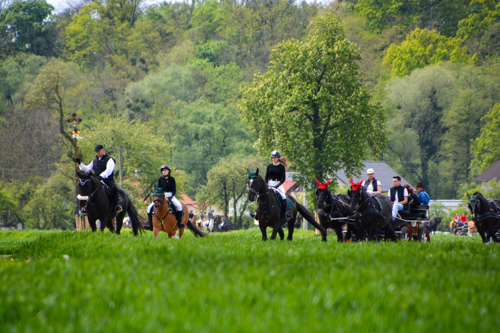 Co? Gdzie? Kiedy? Nawigator weekendowy