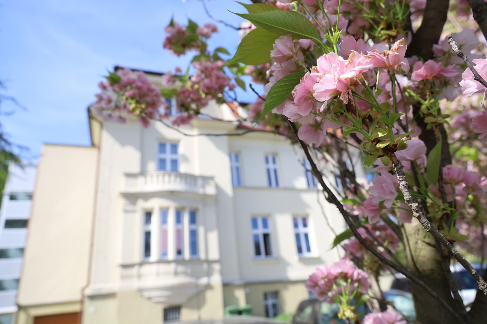 2 maja odwiedź raciborską bibliotekę