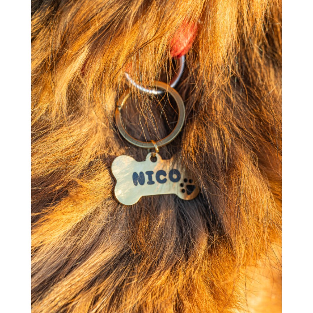 Zawieszka dla psa z grawerem – Co na niej wygrawerować?