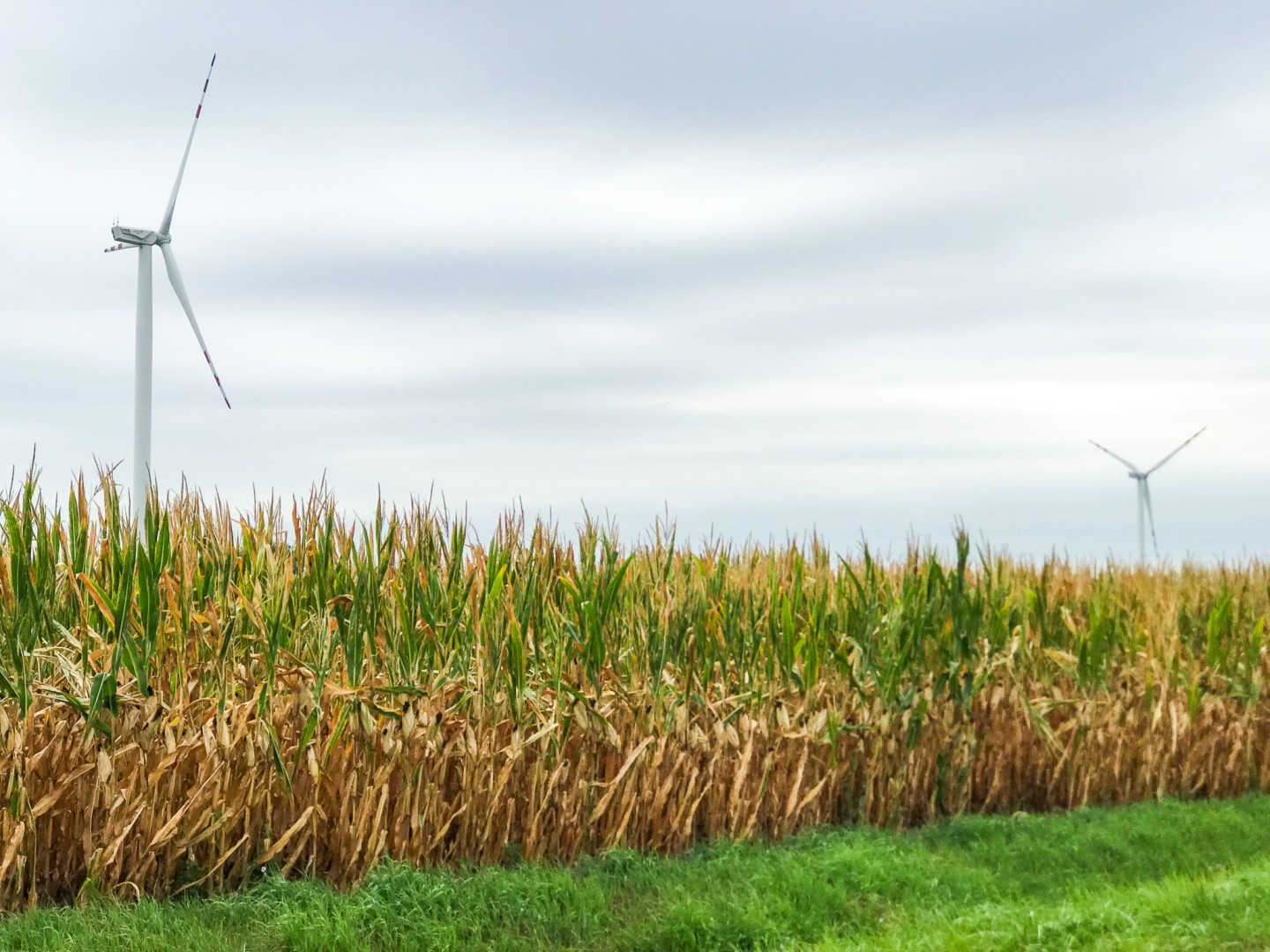 Elektrownie wiatrowej - konsultacje społeczne w sprawie planu zagospodarowania przestrzennego w gminie Krzanowice