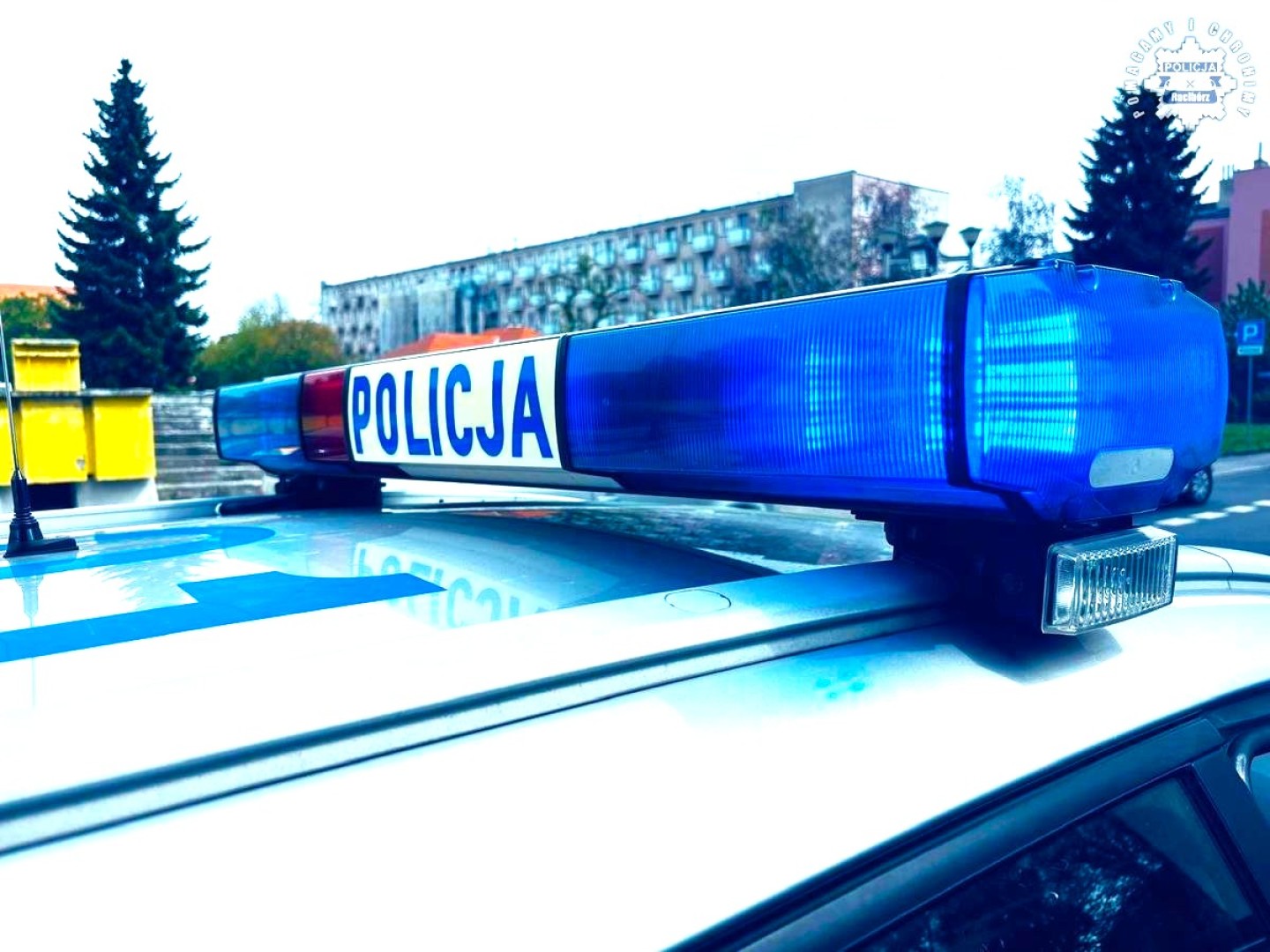 Kryminalni na przerwie zatrzymali złodzieja alkoholu