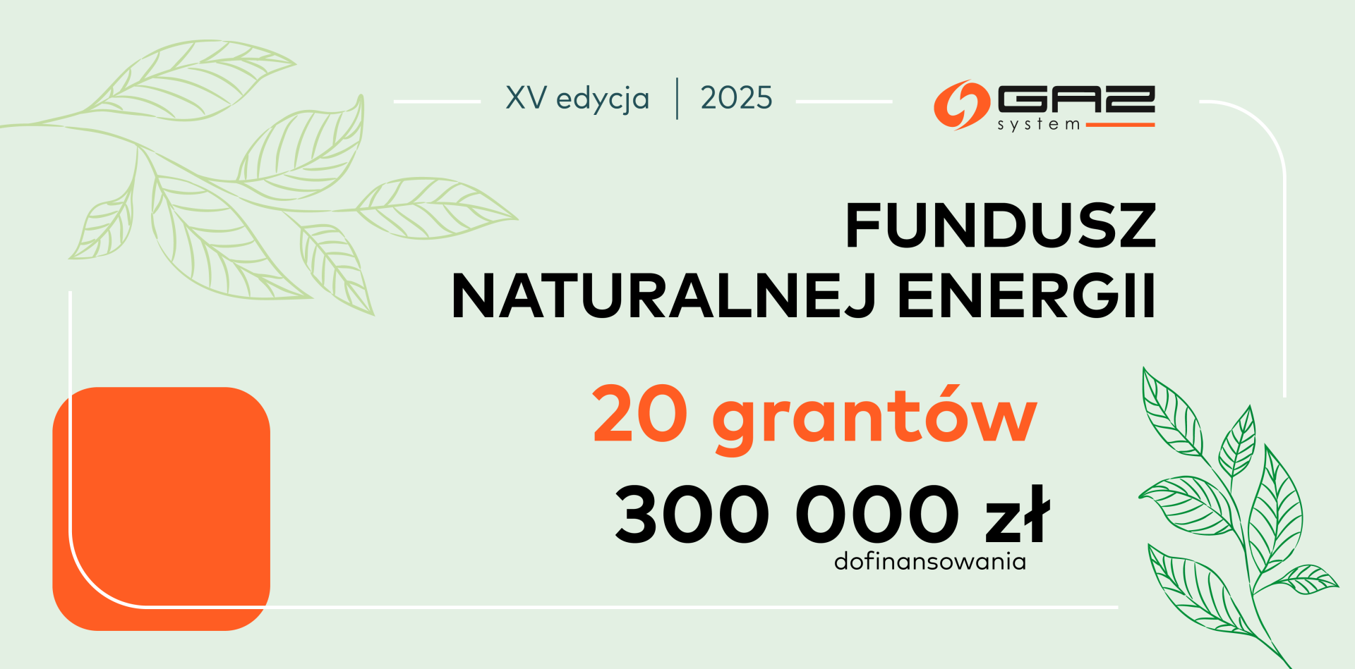 300 tysięcy złotych na zielone granty – GAZ-SYSTEM zaprasza do XV edycji Funduszu Naturalnej Energii