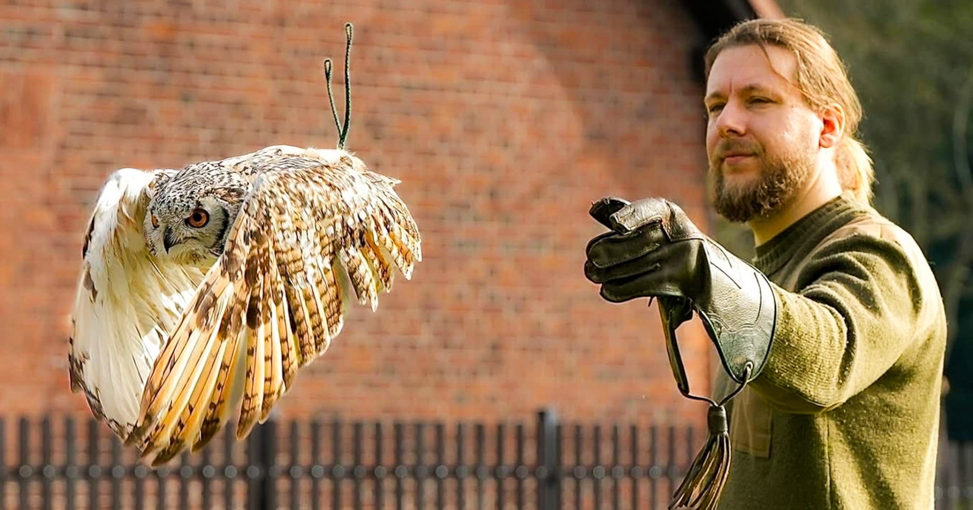 Pokaz sokolniczy w programie Międzynarodowego Turnieju Rycerskiego na raciborskim zamku [ZAPROSZENIE]