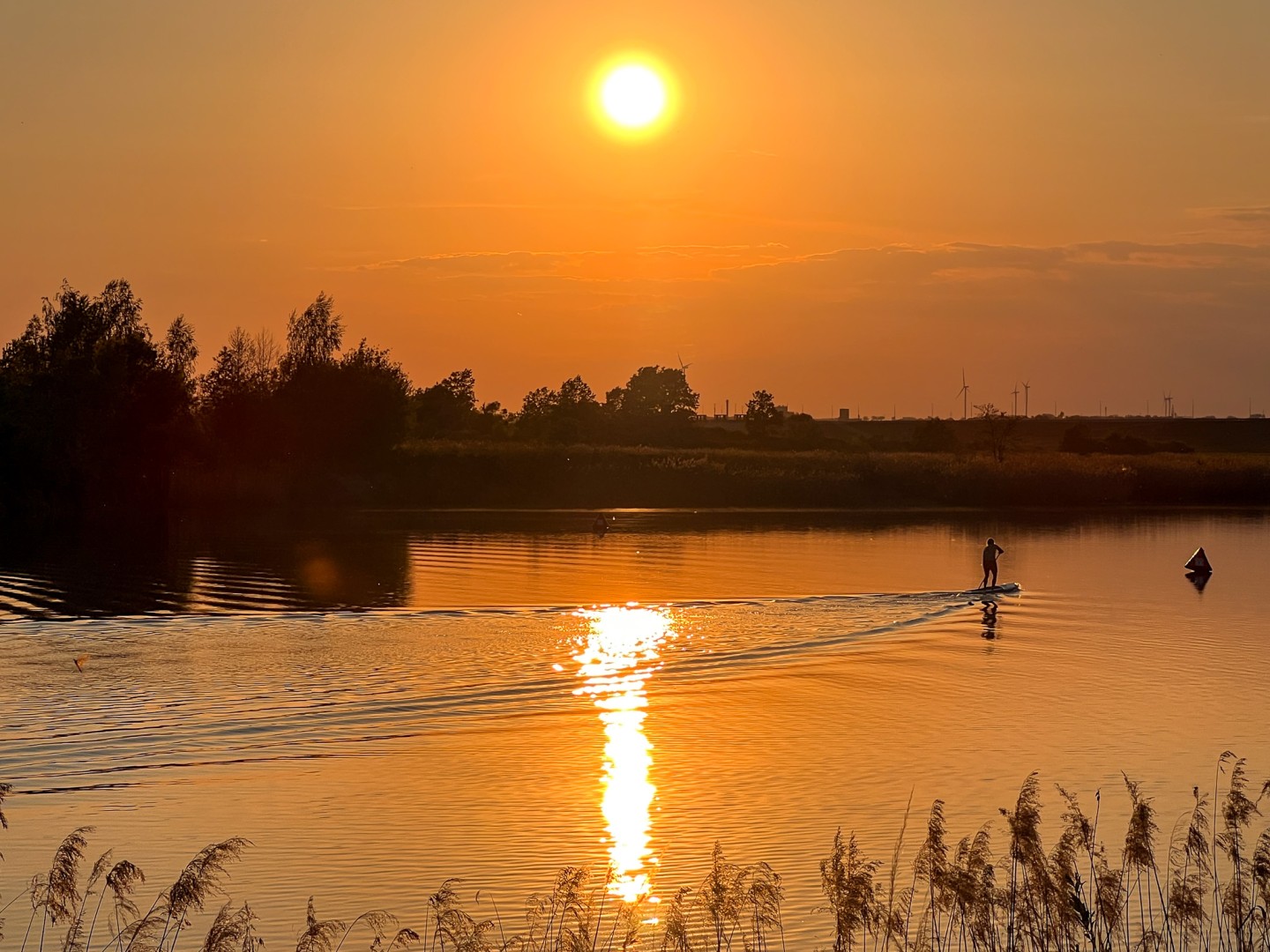 Trwa monitoring przyrodniczy na zbiorniku Racibórz Dolny po wrześniowej powodzi