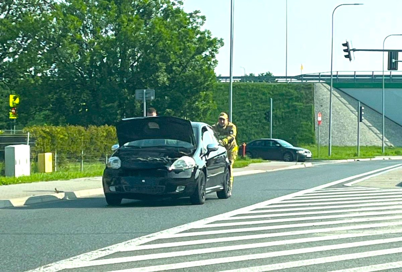 Kolizja na Rudzkiej, rój pszczół i plama na jezdni [RAPORT 998]