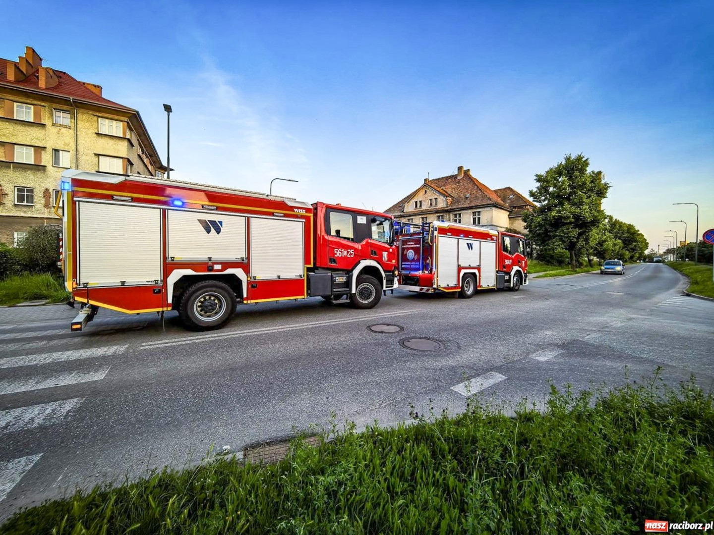 Strażacy w akcji: od dzikich zwierząt po pożary i wypadki – raport interwencji 12–14 czerwca