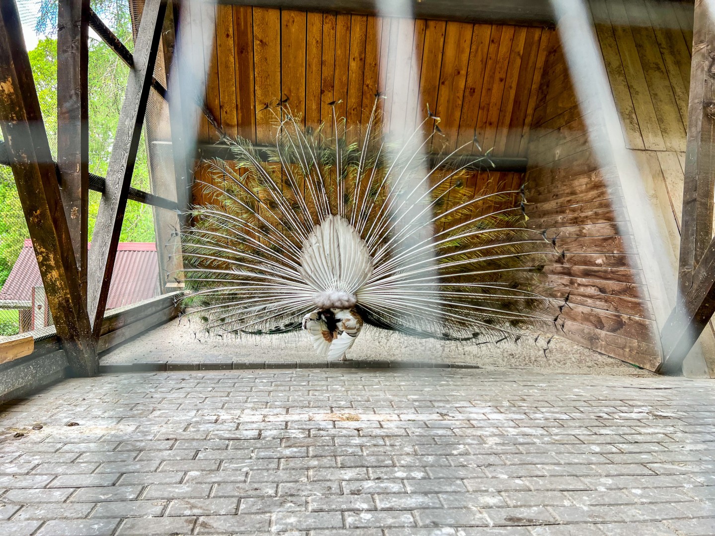 Nowe życie mini-ZOO w Oborze. Atrakcja zamknięta do odwołania z powodu modernizacji