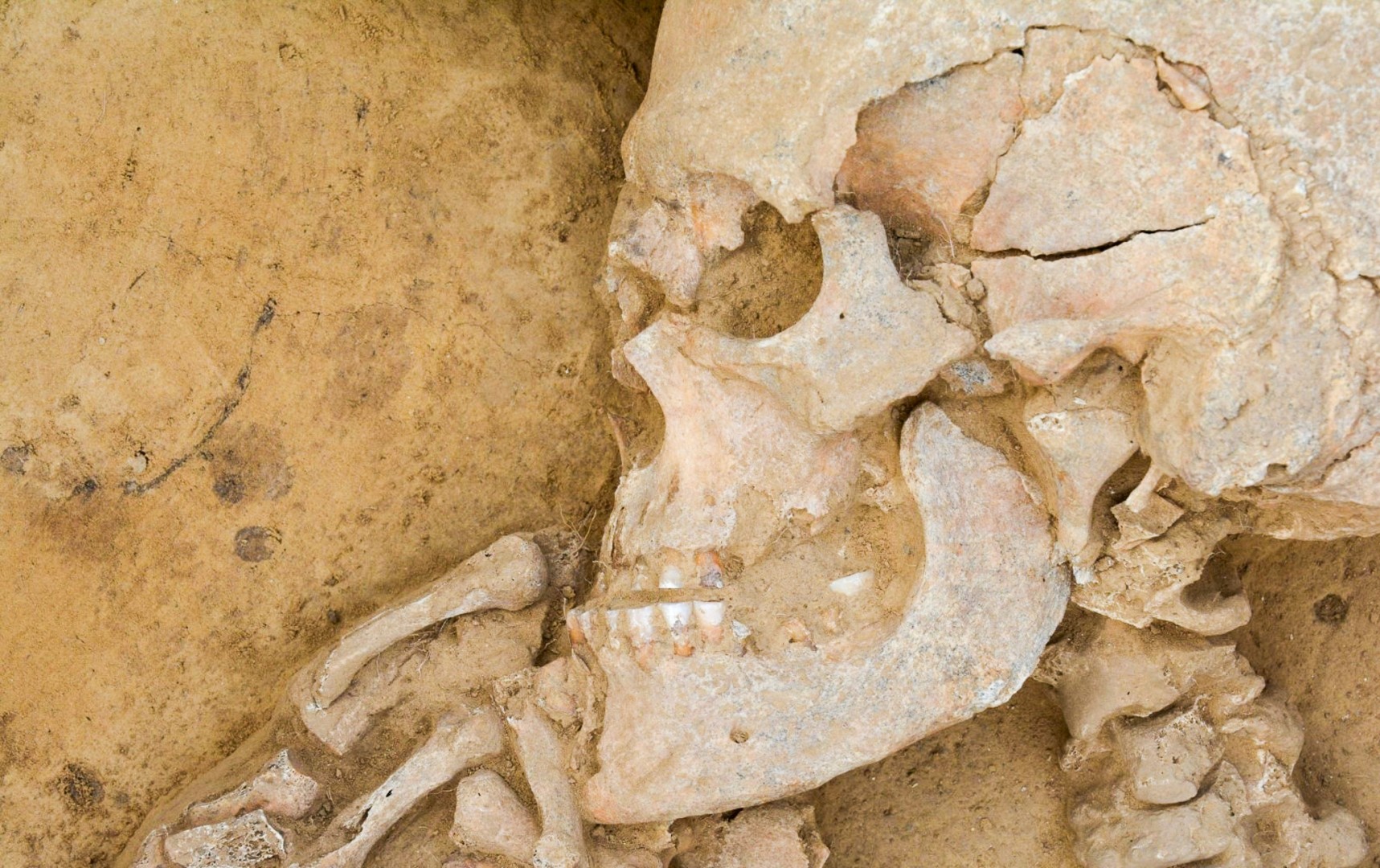 Festiwal Górnej Odry 2025. O tajemnicach archeologii w Kornicach i na Zamku Piastowskim