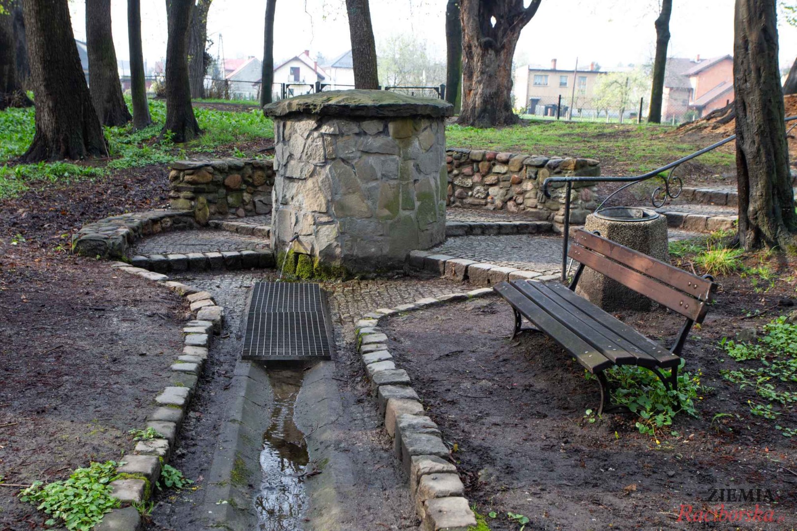 Źródełko z historią. Woda z parku w Tworkowie pod lupą sanepidu