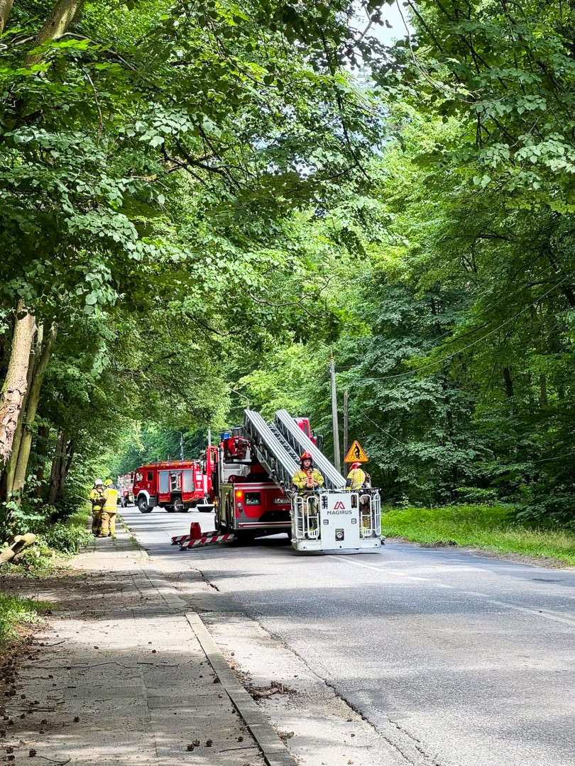 Interwencje służb ratowniczych w powiecie – 26 czerwca 2025