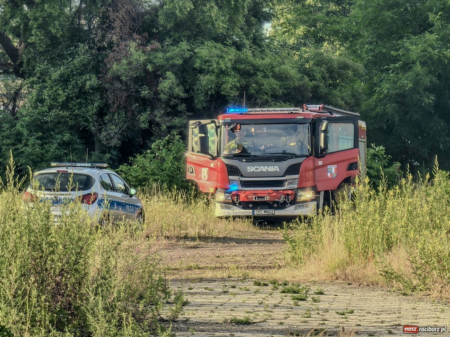 Silny wiatr i drobne zdarzenia – straż pożarna interweniowała w powiecie raciborskim