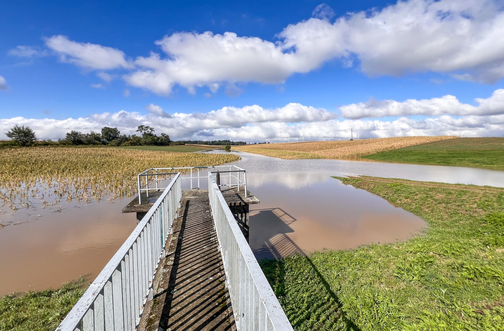 Racibórz szuka wykonawcy do konserwacji rowów i zbiornika przeciwpowodziowego