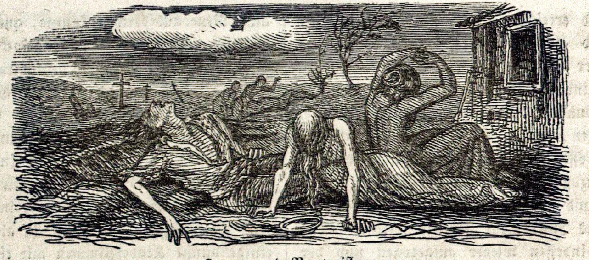 Cholera znów w Polsce. Przypadek w Stargardzie przypomina o mrocznej historii epidemii na ziemi raciborskiej