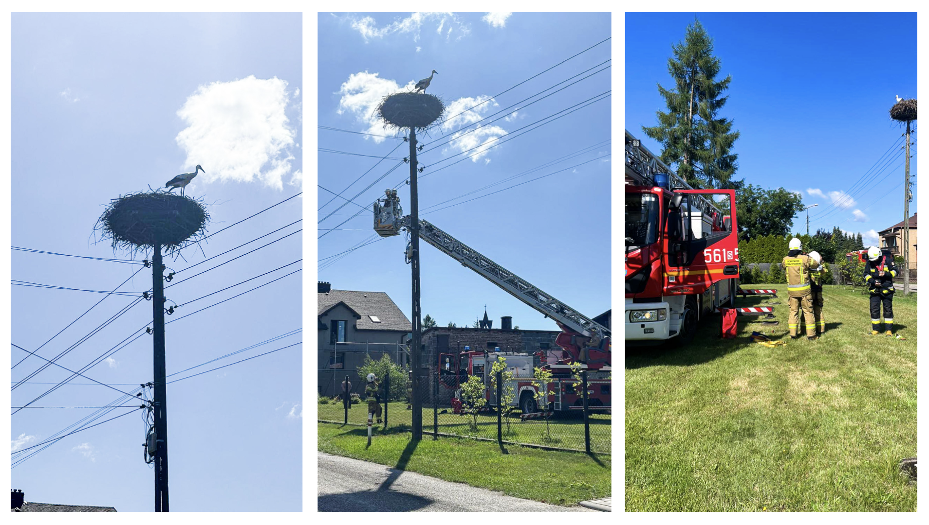 Strażacy uratowali rannego bociana w Górkach Śląskich