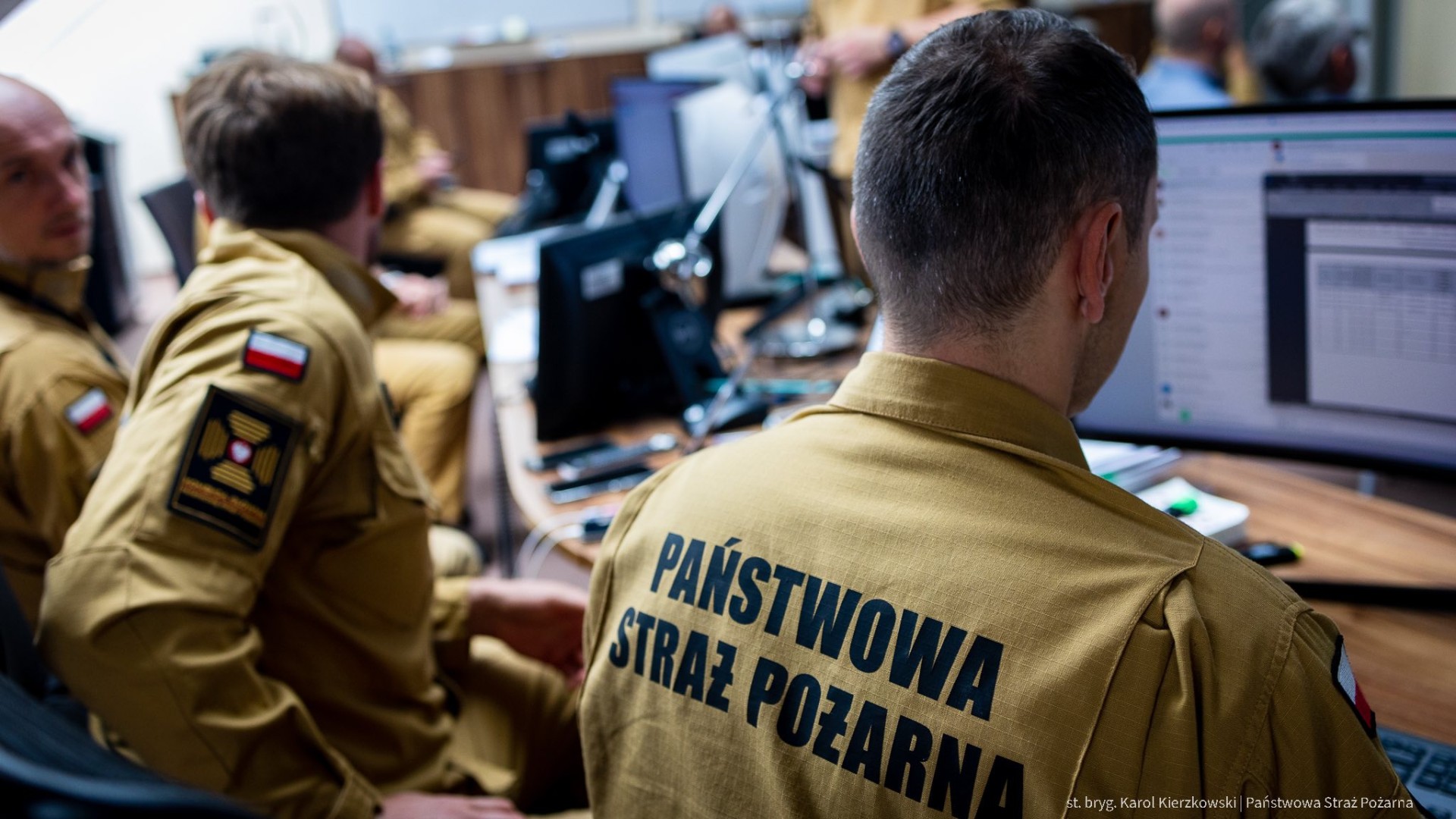 Piorun, pożar i pustułka. Pracowita sobota strażaków w powiecie raciborskim