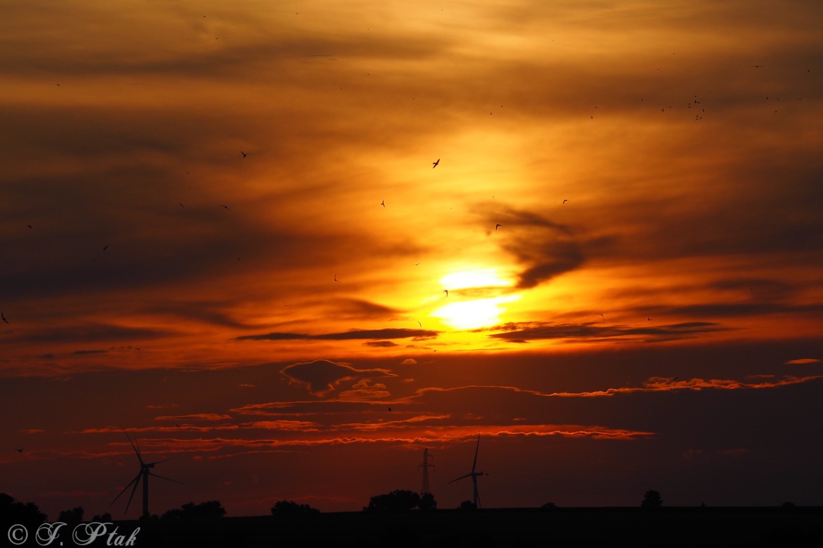 Ratusz otrzymał dotację na opracowanie Miejskiego Planu Adaptacji do Zmian Klimatu dla Miasta Racibórz