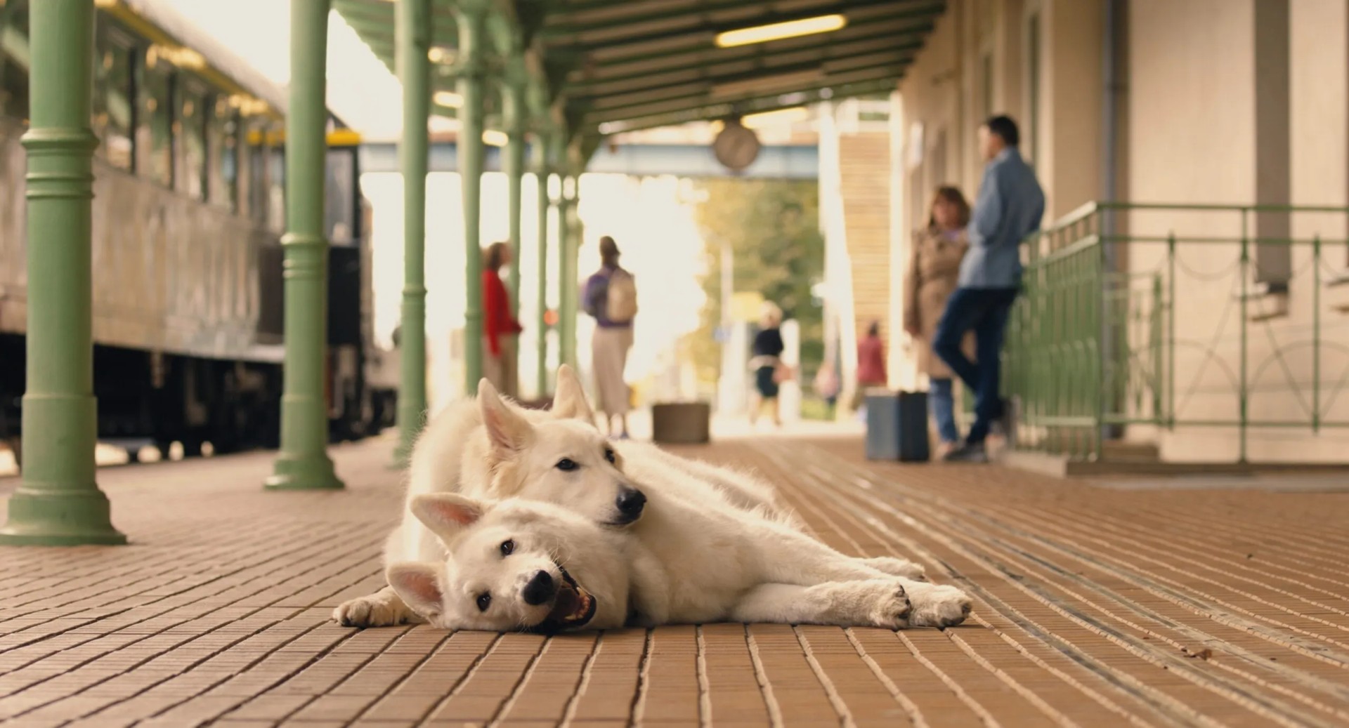 Nowy repertuar Kina Bałtyk w Raciborzu – sierpniowe seanse