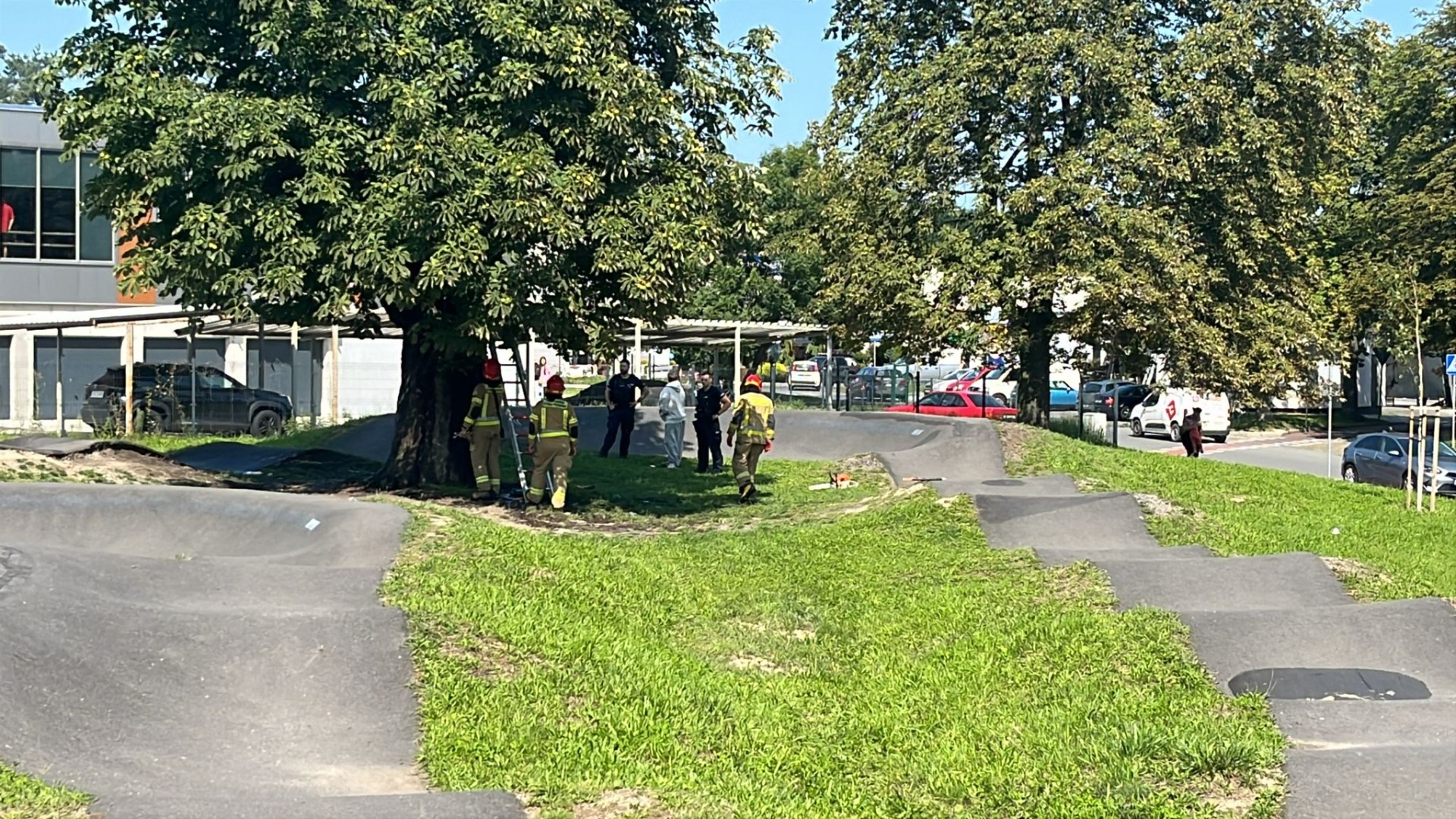 Pożar drzewa i naderwana blacha. Czwartek strażaków [RAPORT 998]