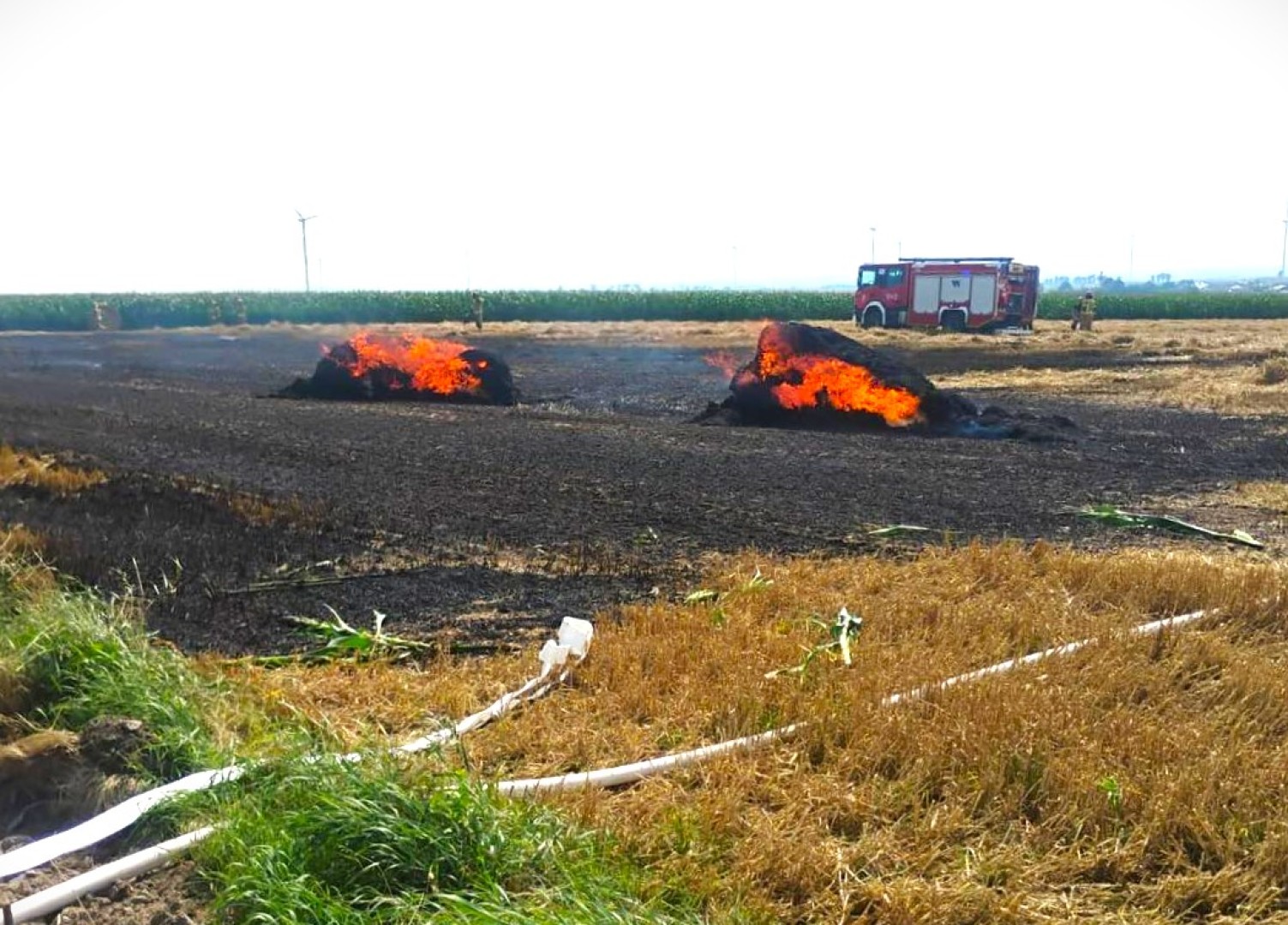 Pożar słomy, plama na jezdni i gniazdo owadów. Strażacka niedziela [RAPORT 998]